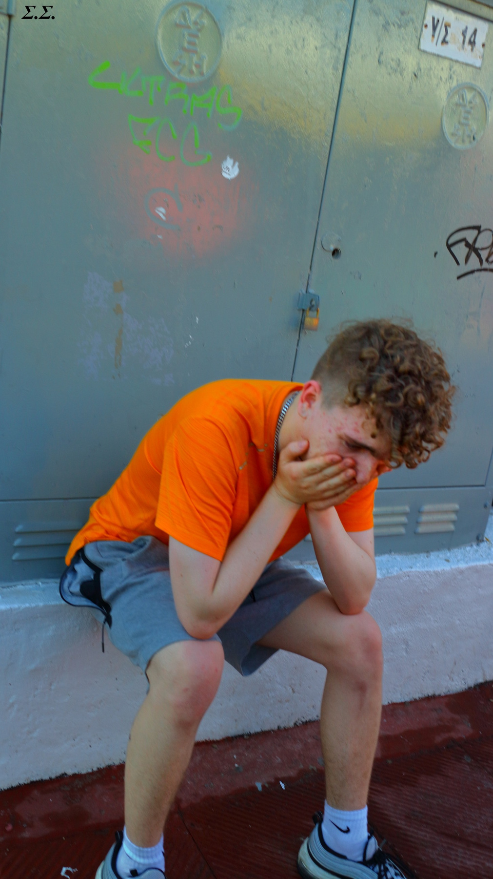 DEVASTATED PARTY ANIMAL 