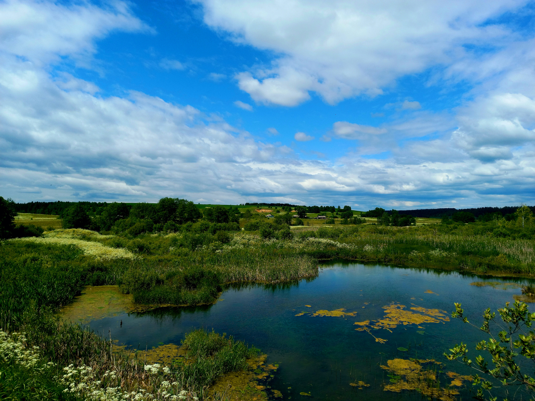 Село за прудом село деревня пруд озеро лес природа небо пейзаж облака лето июнь 2023 мобильная фотография мобильное фото