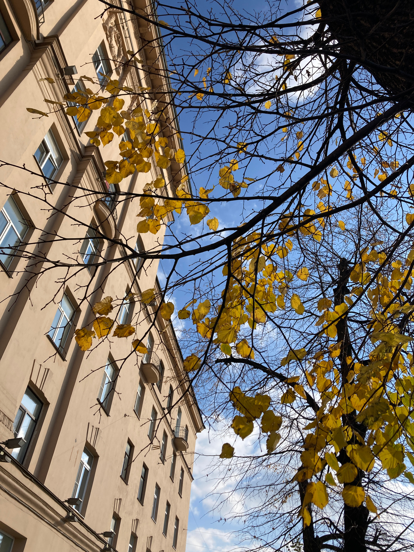 Лето в октябре осень листья утро октябрь