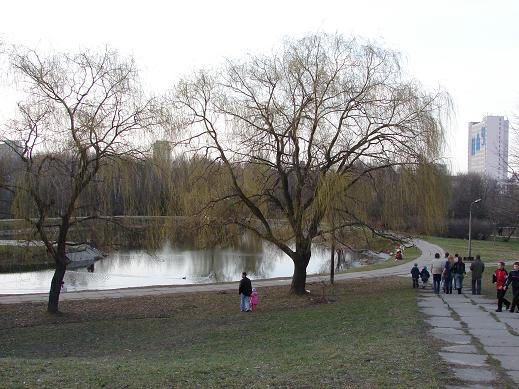 Городской пейзаж 