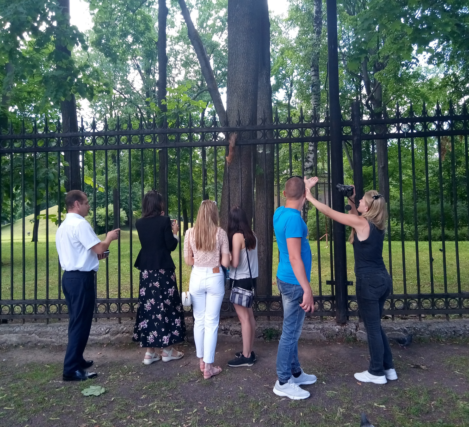 Ой, белочка!... белка белочка люди фотографы природа отдых парк дерево ограда