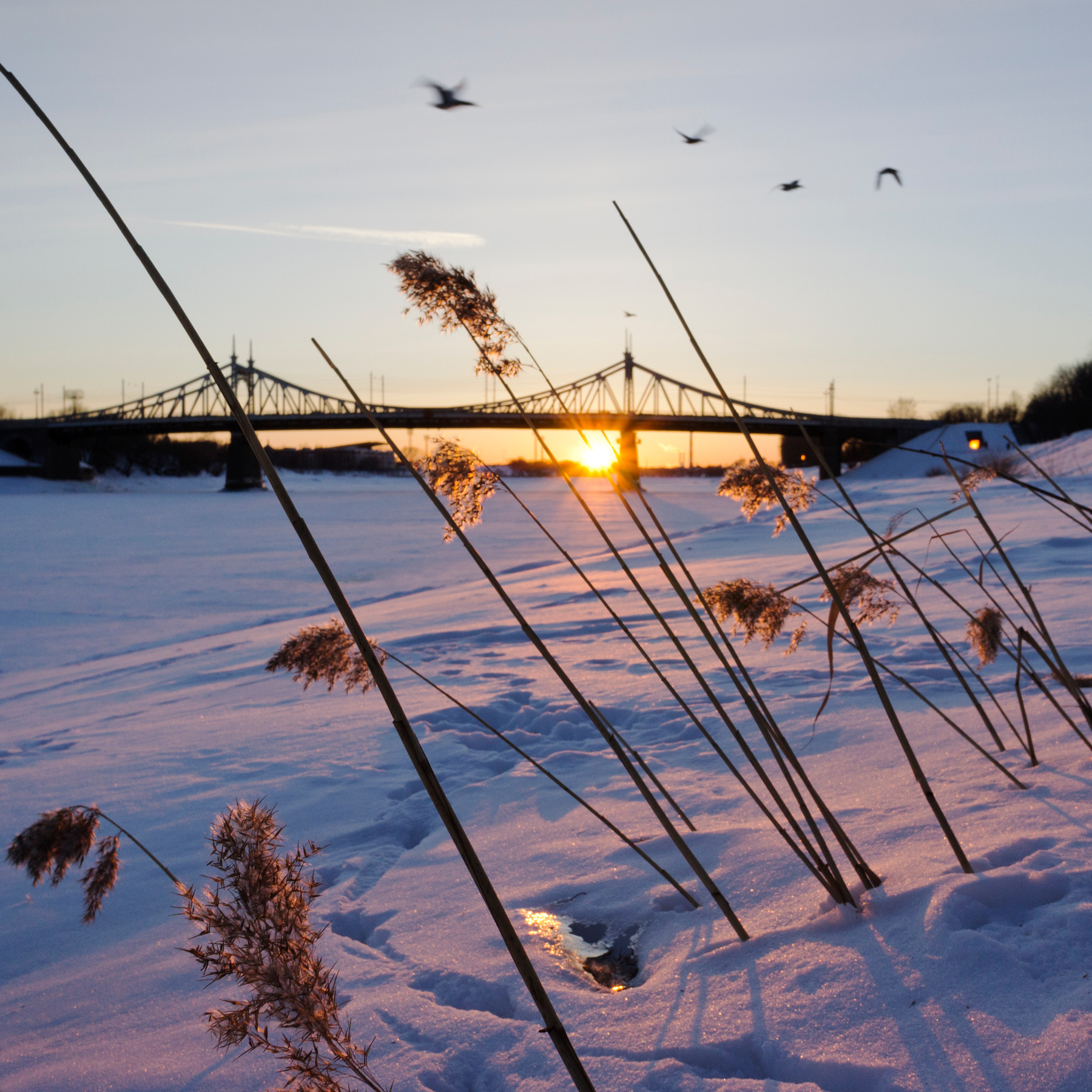 Ð»ÐµÑ‚ÑÑ‚ÑŒ ÑƒÑ‚ÐºÐ¸ spring sunset tver bridge