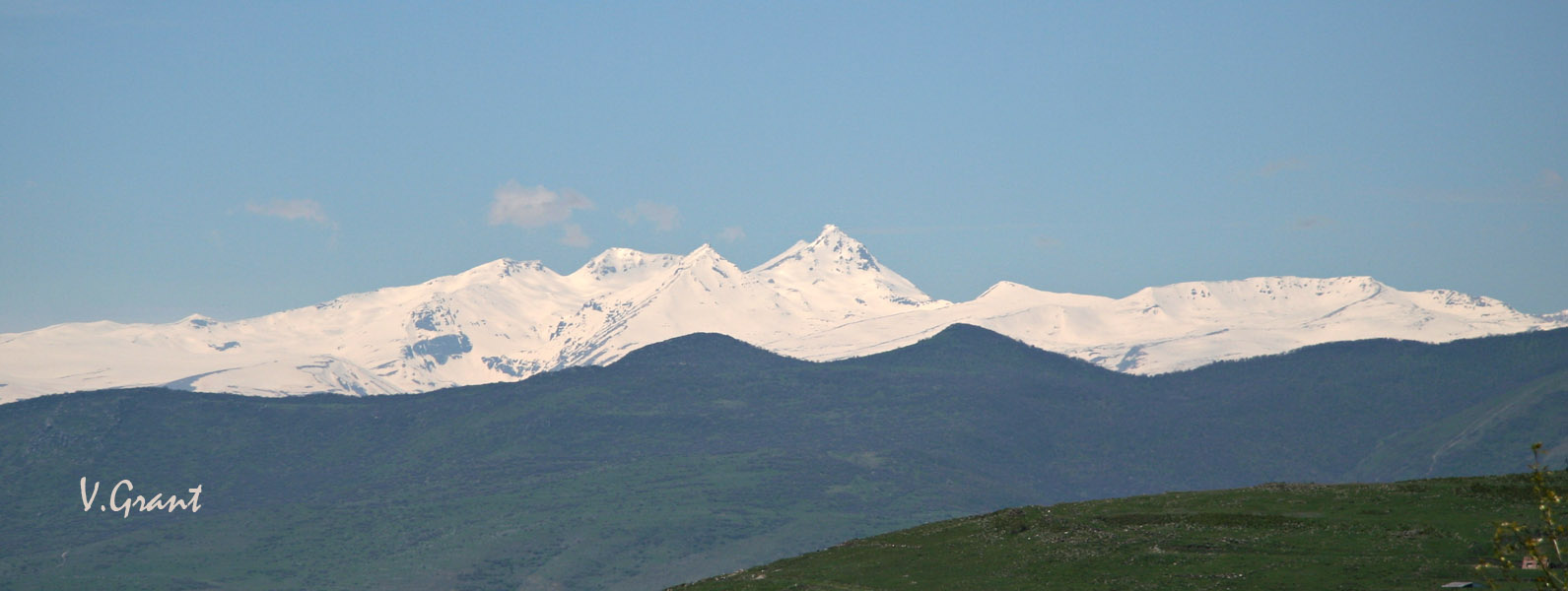 Арагац арагац