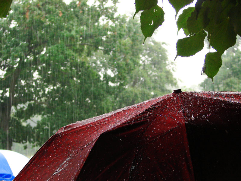 umbrella дождь, зонт