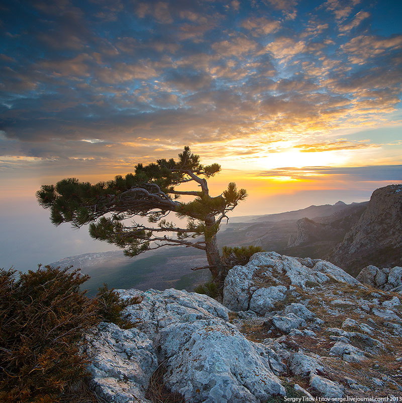 Зима на плато Ай-Петри Крым, горы, море, дерево, Ай-Петри, Ялта