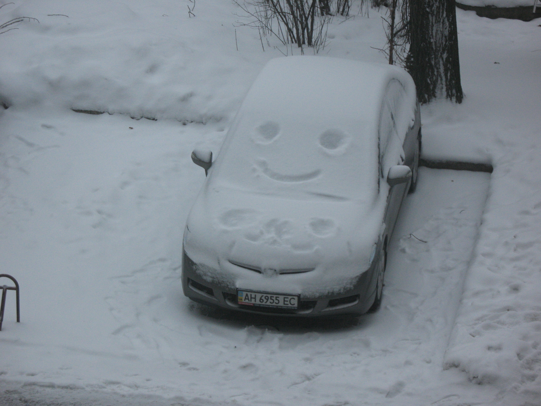 Зимняя улыбка )) 