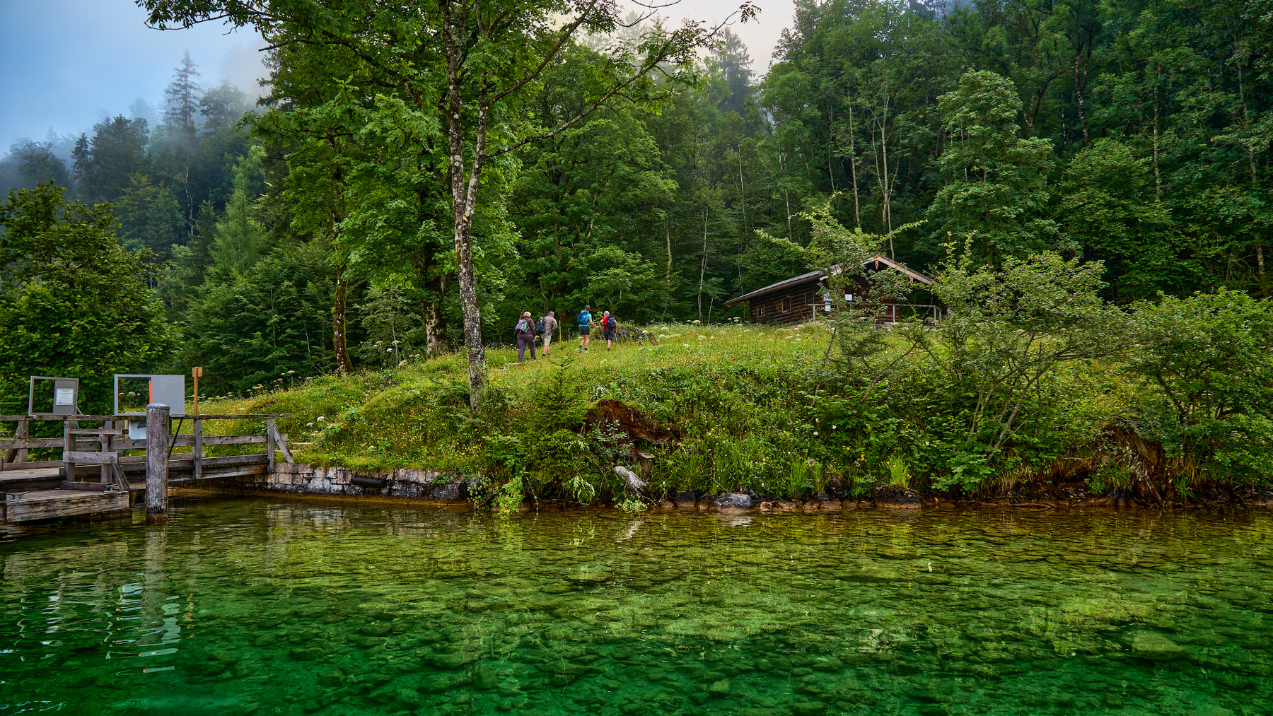 Зелёный мир...  (репост) Германия Бавария Кёнигсзее Königssee лес озеро туристы
