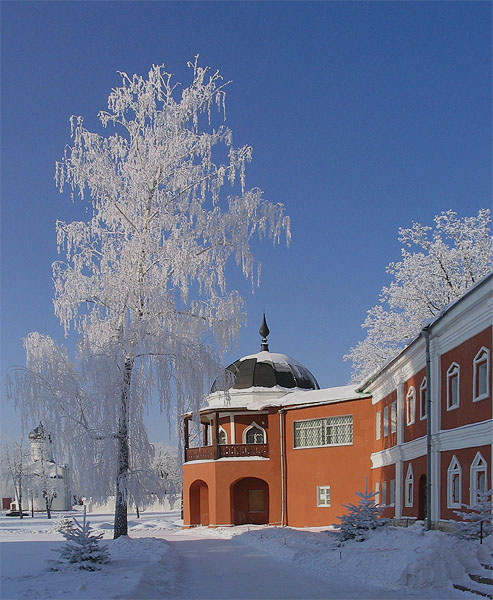 *** Береза, иней, мороз