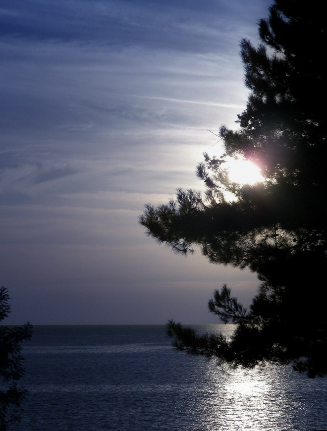 Blue Sunset 