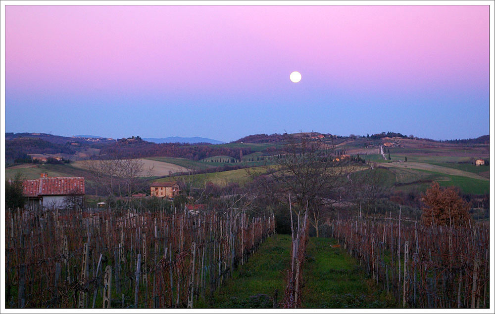 Сиреневые ночи Pienza Toscana