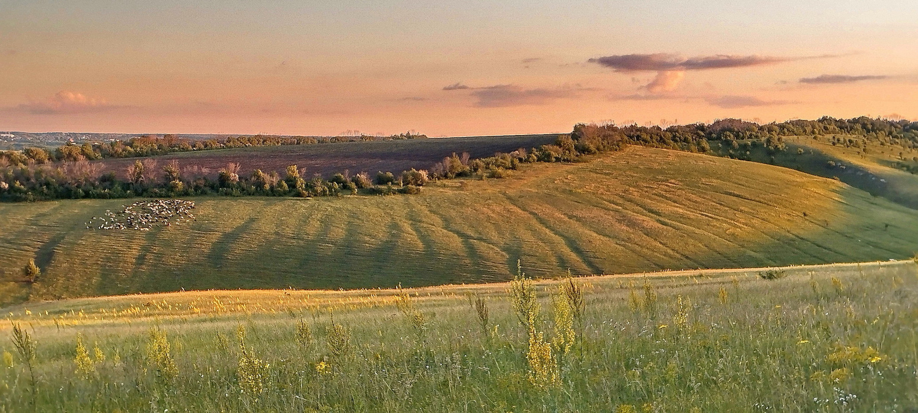Вечерняя 