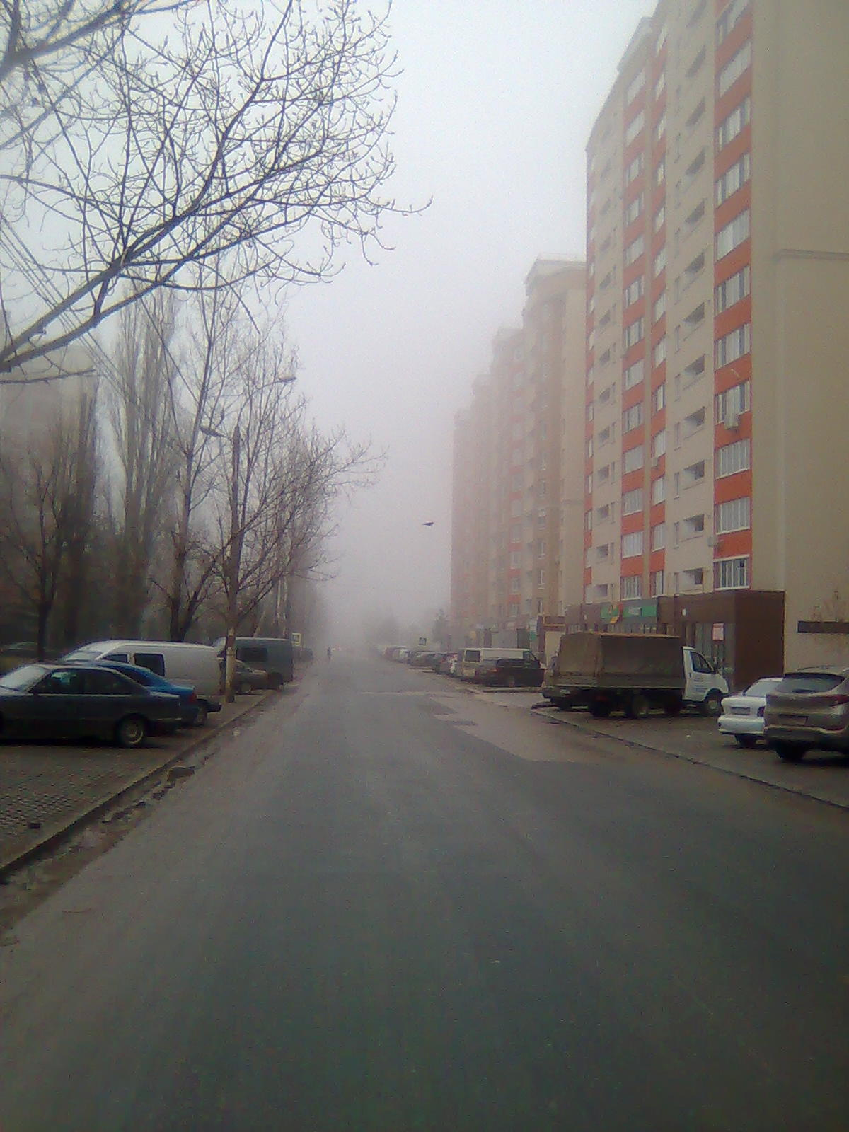 *** туман дома улица город