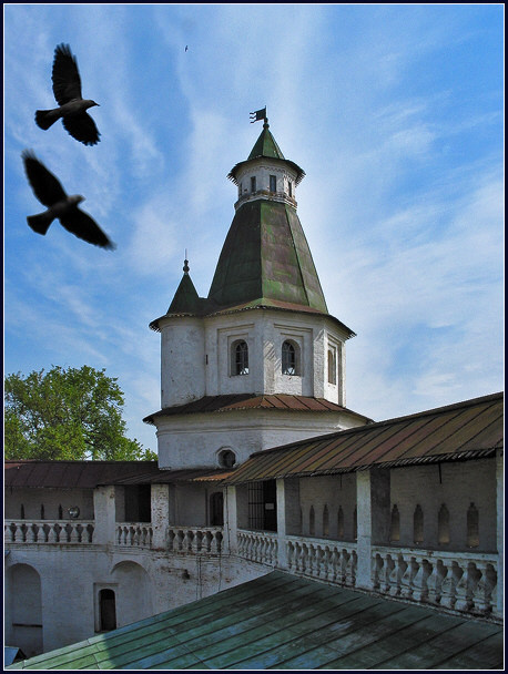 Если враг бежит 