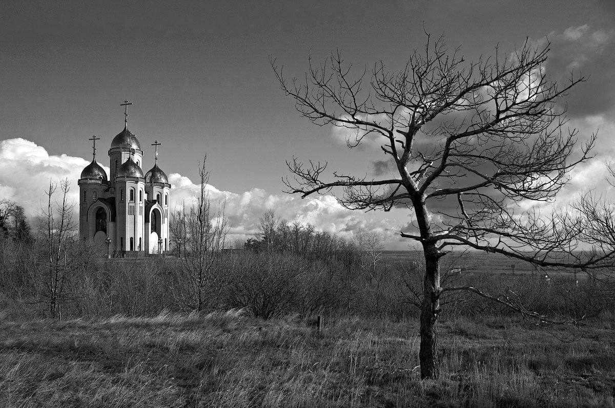 Сухое дерево пейзаж, дерево, храм