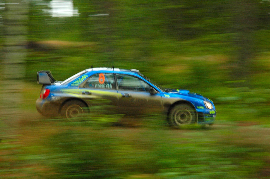 Лесная тропа - 150 км/ч. WRC. ралли авто Subary Neste WRC