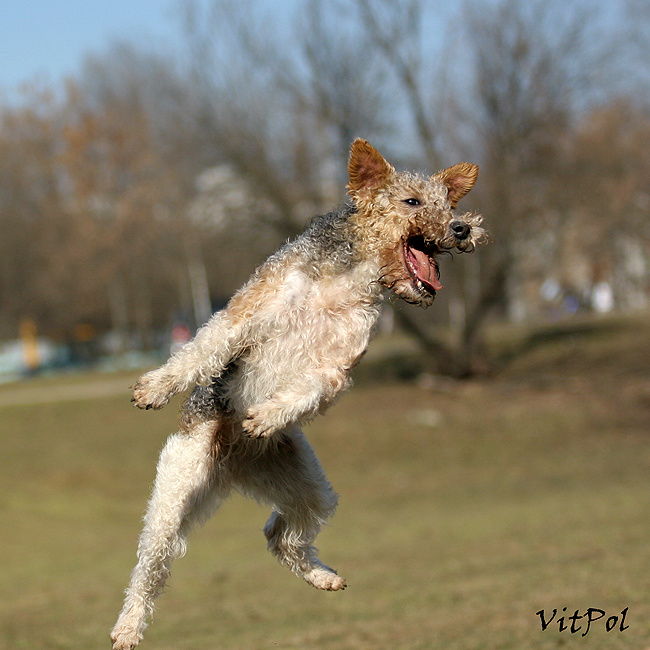 Весна 