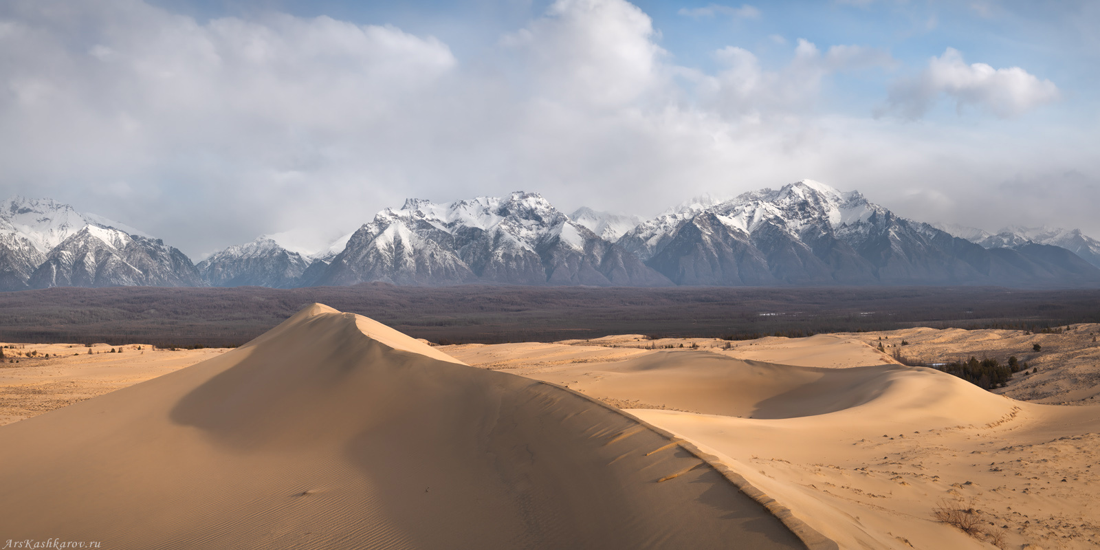 "Забайкальские дюны" Чара Чарские пески Чарская пустыня Забайкалье барханы Кодар Сибирь Дюна