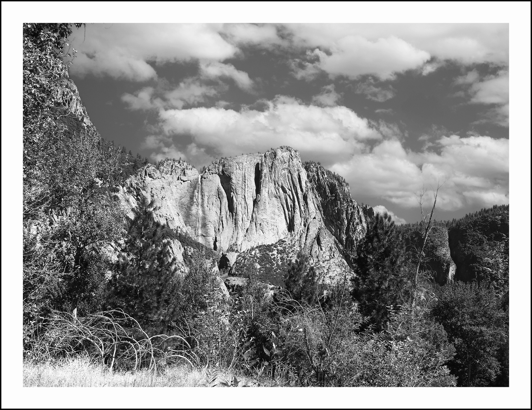 Yosemite Lanscape 