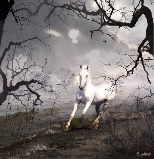 На краю... конь horse