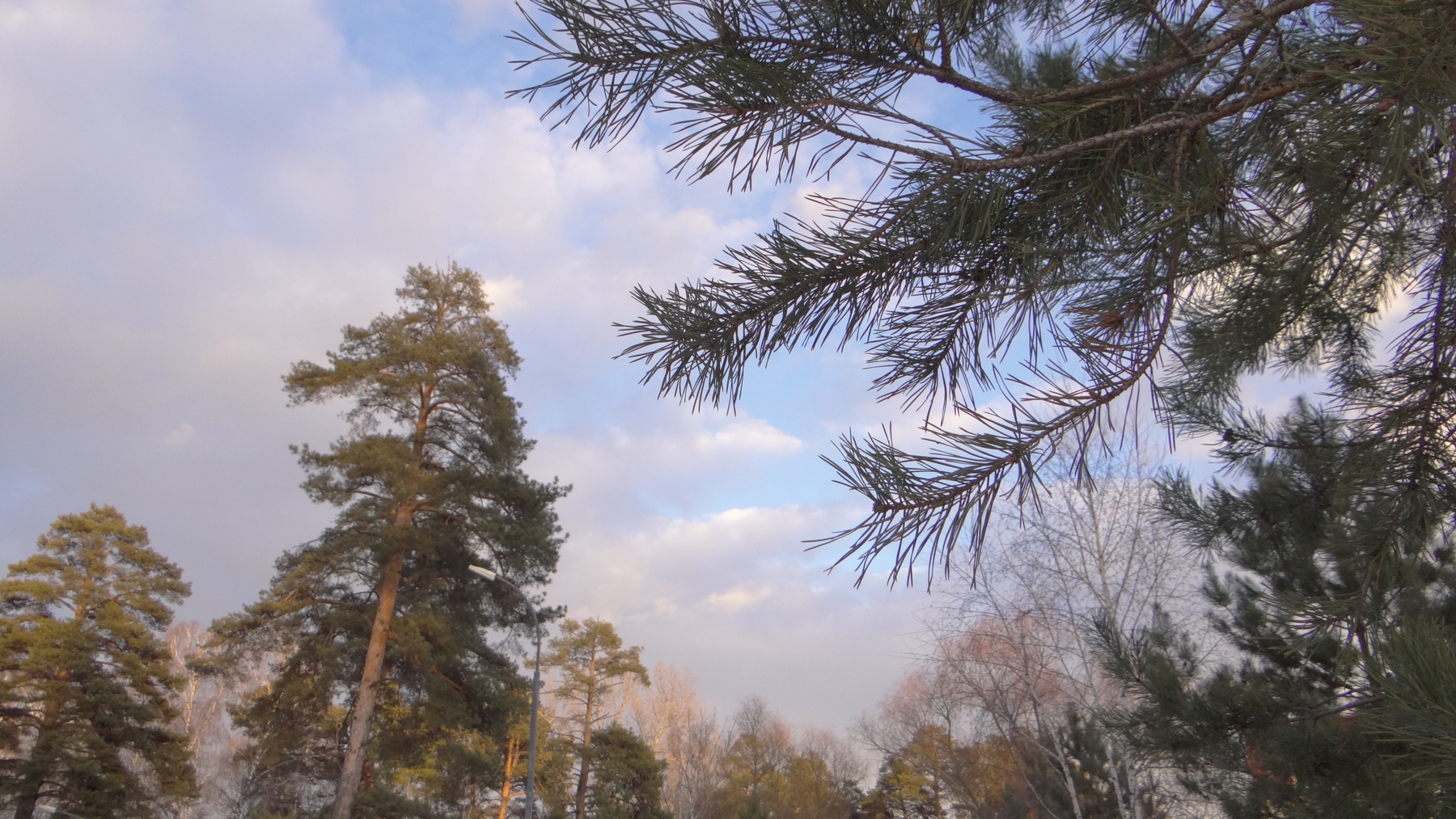 В парке 