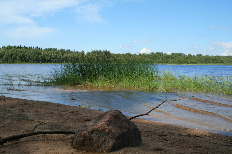 Манящий ветерок озеро,  камень, палка, вода, лес, берег