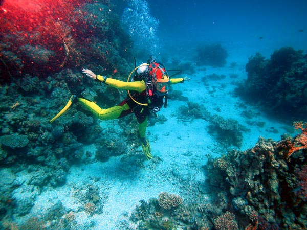 Лезгинка подводная underwater diving
