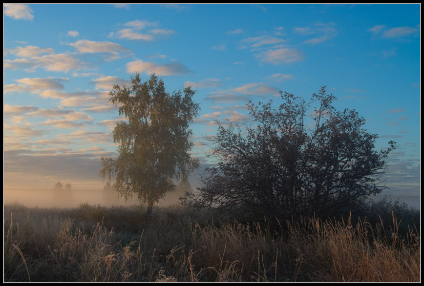 Рассвет... Siberia.
