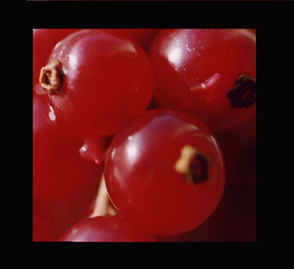 Life in red. smorodina
