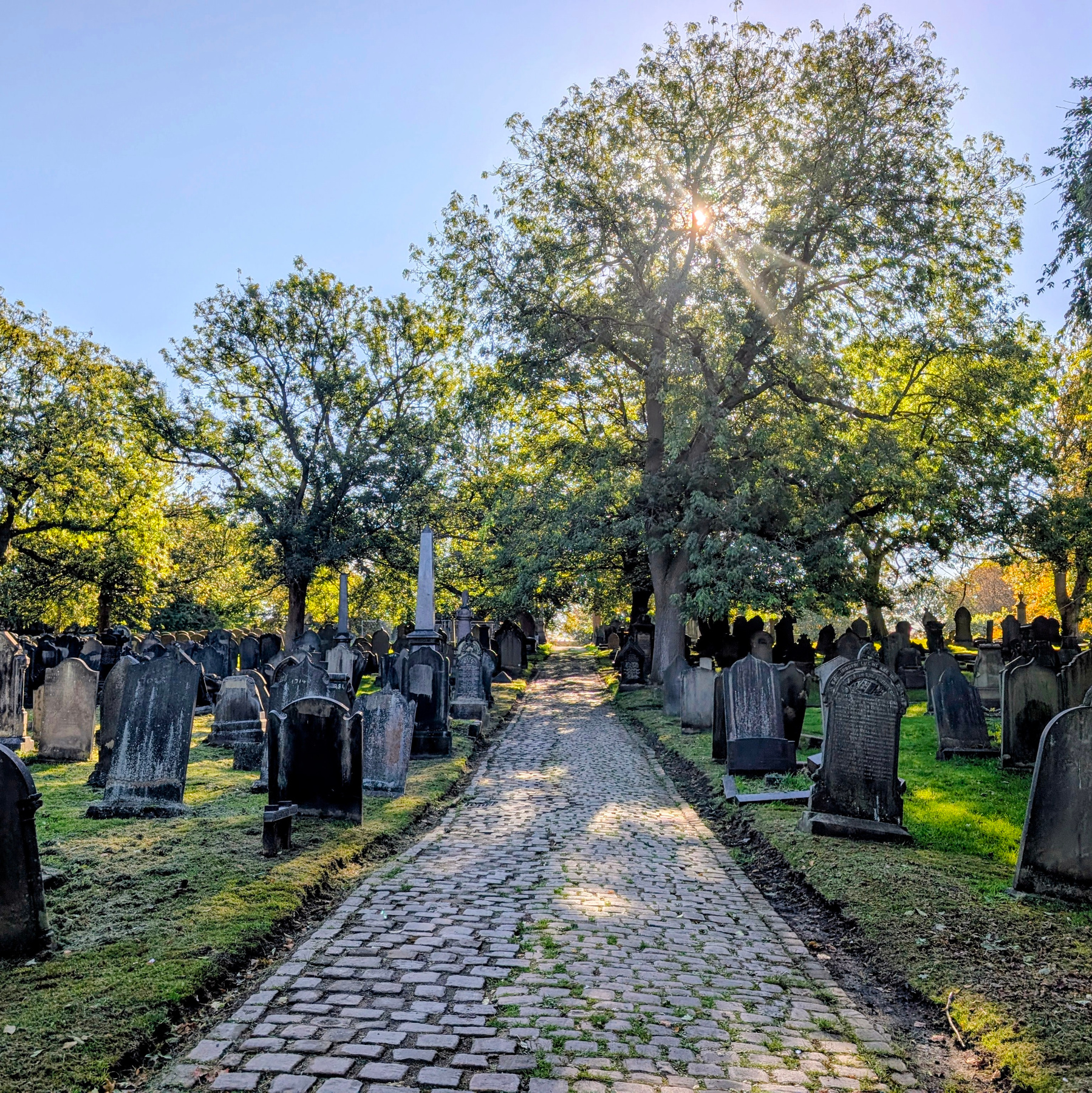 Beckett Street Cemetery, Leeds тишина осень кладбище могилы солнце