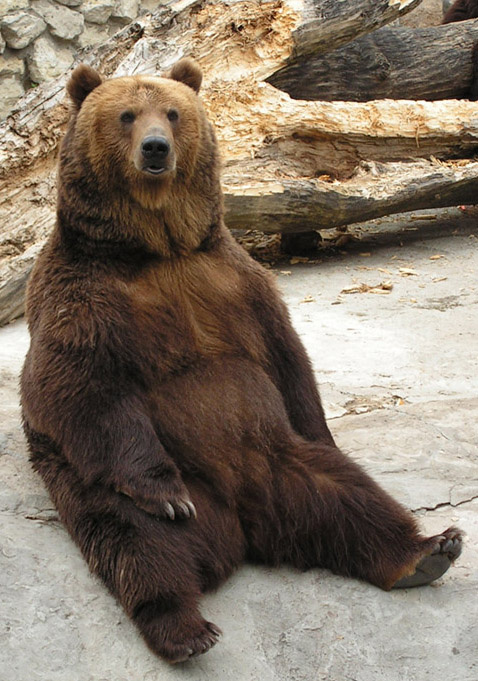 Косолапый 