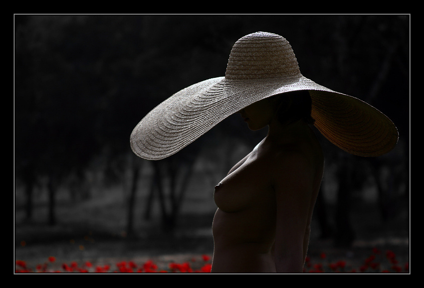 NUDE IN A HAT девушка шляпа маки