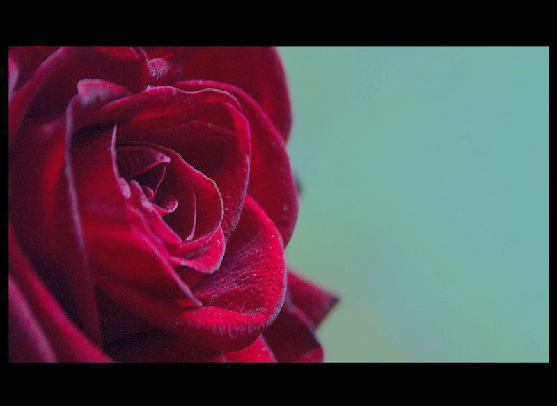 №2 