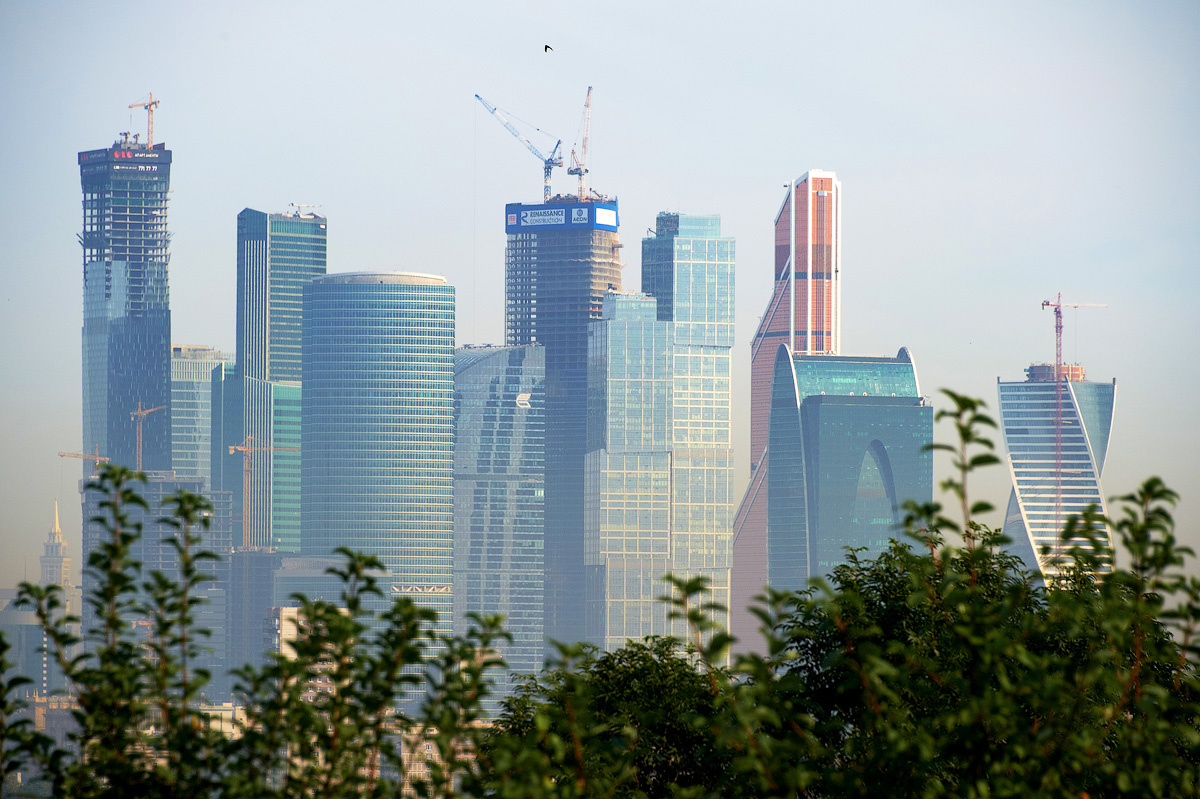 Городские джунгли Сити