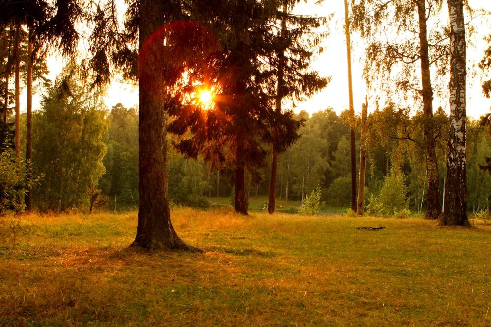 Летний вечер Природа,пейзаж,закат,солнце