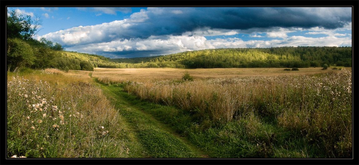 Лес. Поле. Дорога. (2) 