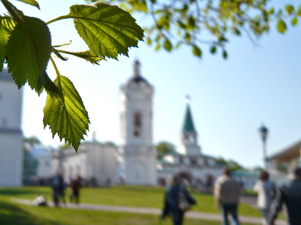 Мгновение коломенский парк