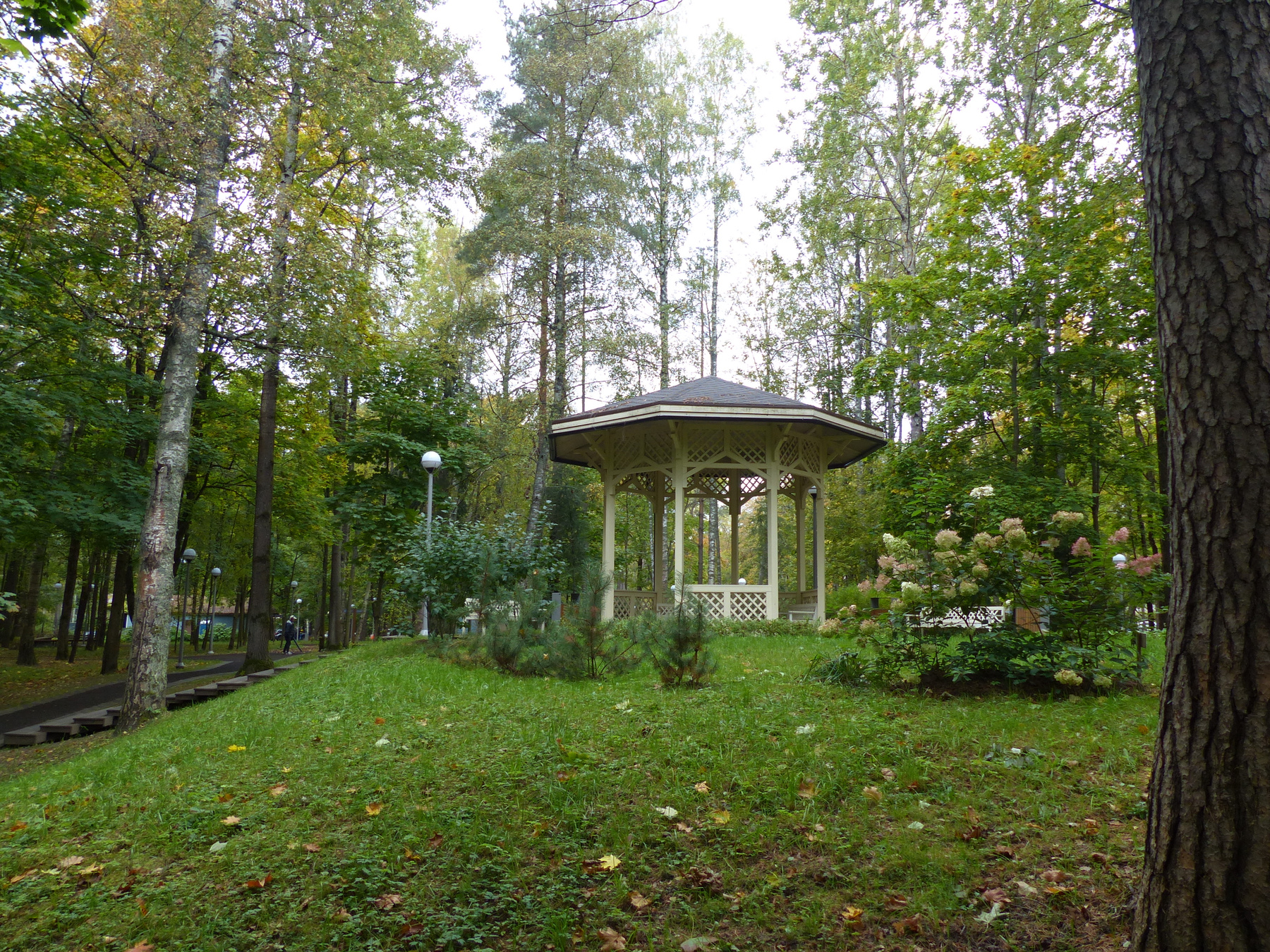 Беседка в Зеленогорском парке 