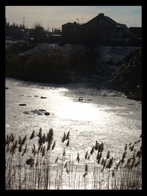 день озеро,блик, вода, тень, отражение