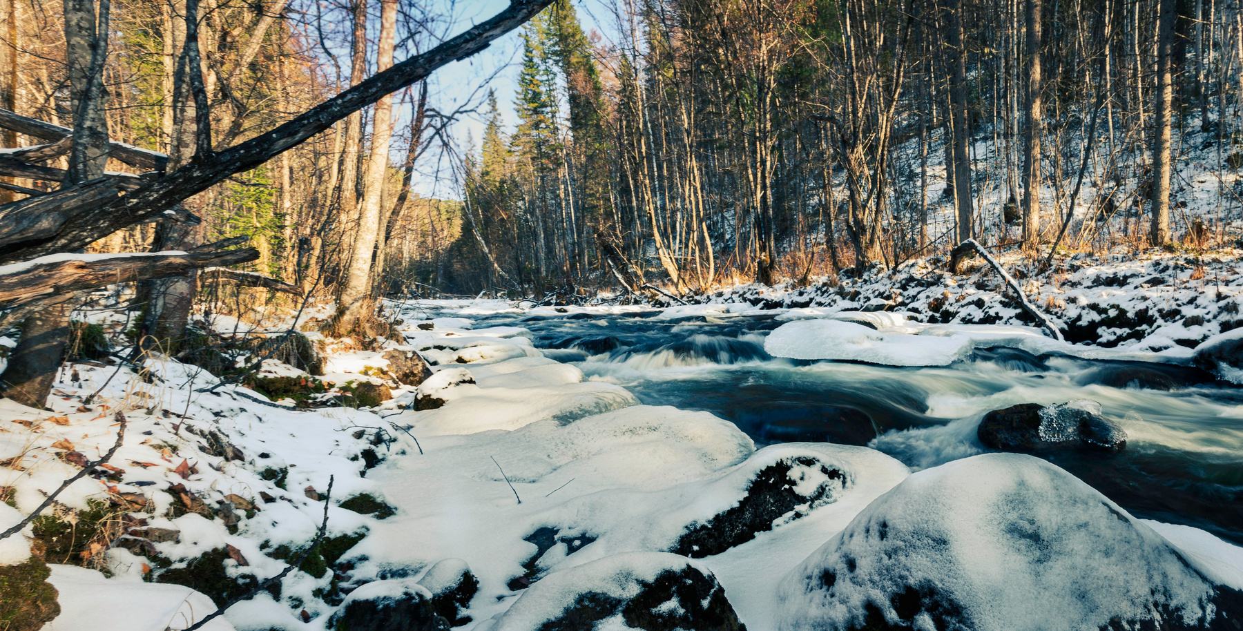 *** 