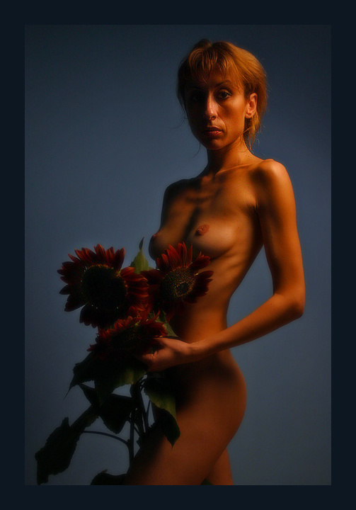 sunflowers 