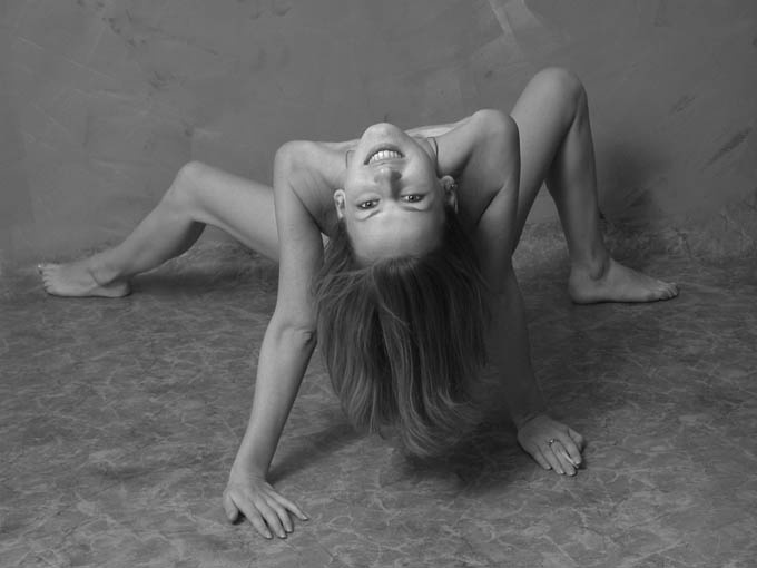 Spider 
