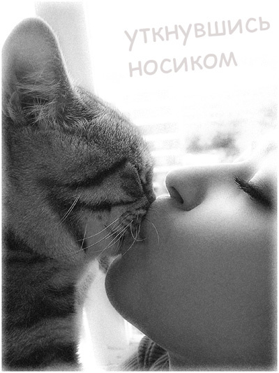 уткнувшись носиком 