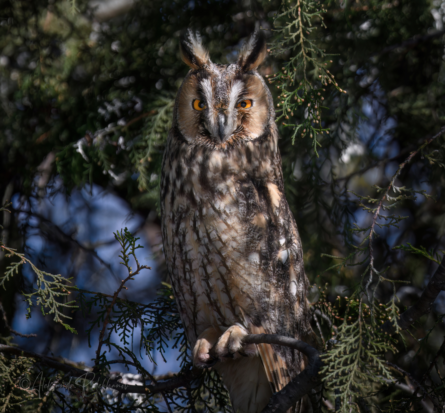 Пройдёшь мимо и не заметишь 