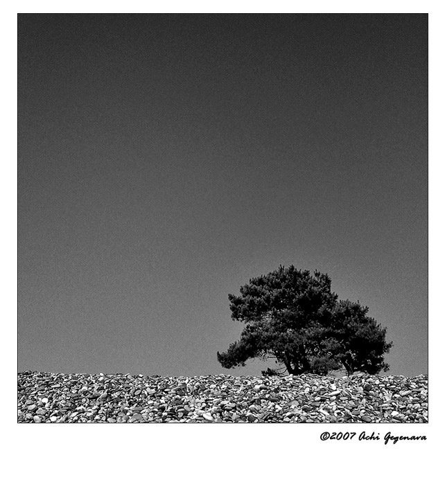 -*-----*-*-*-* apachi, kutaisi, kobuleti, georgia