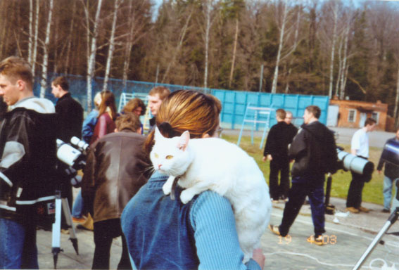 Белый кот 