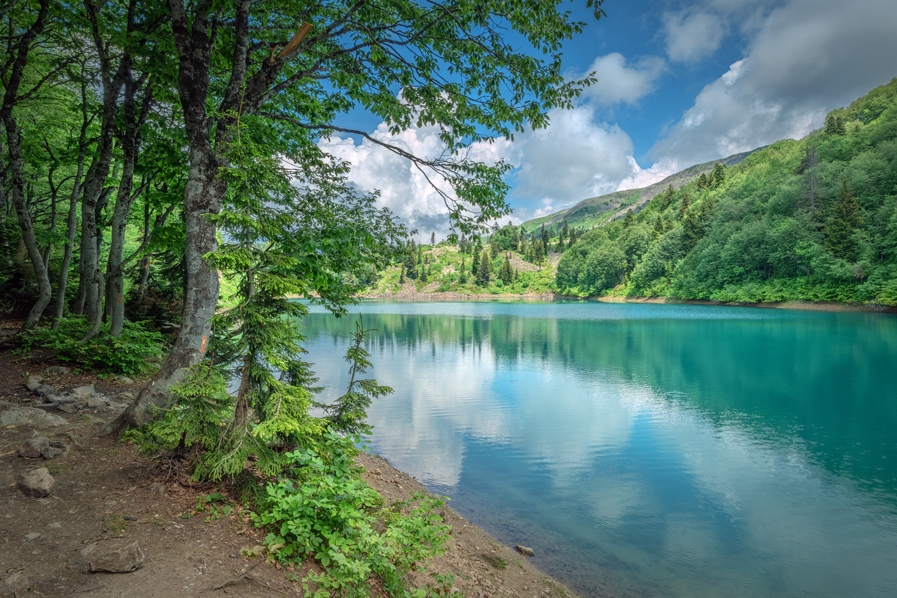 Green Lake In Summer greenlake adjara goderdzi lake mountains forest summer high landscape scenery travel outdoors georgia sakartvelo caucasus chizh