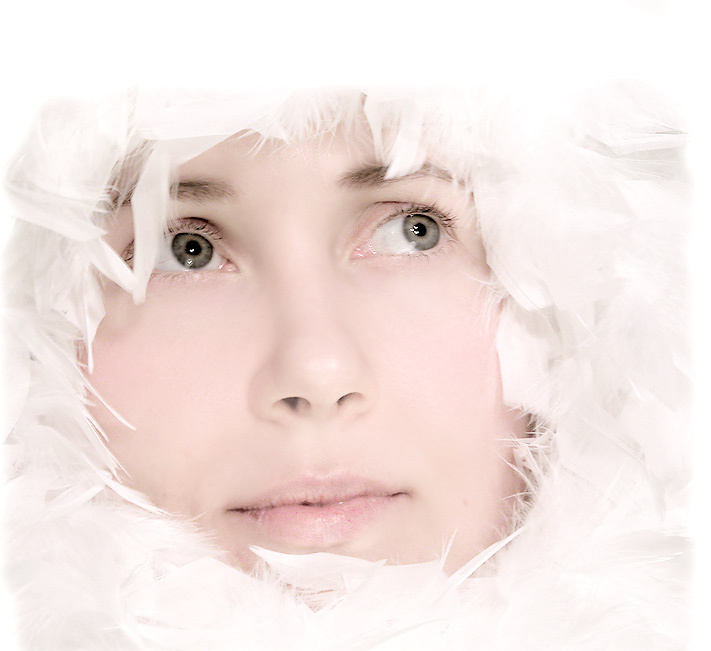 ....uccello piccolo bianco..... lenusha deep down in feather