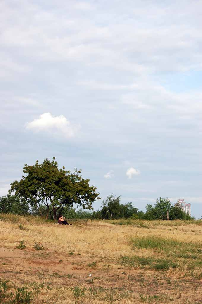 Московская саванна 