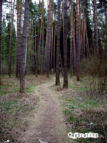 tропа тропа