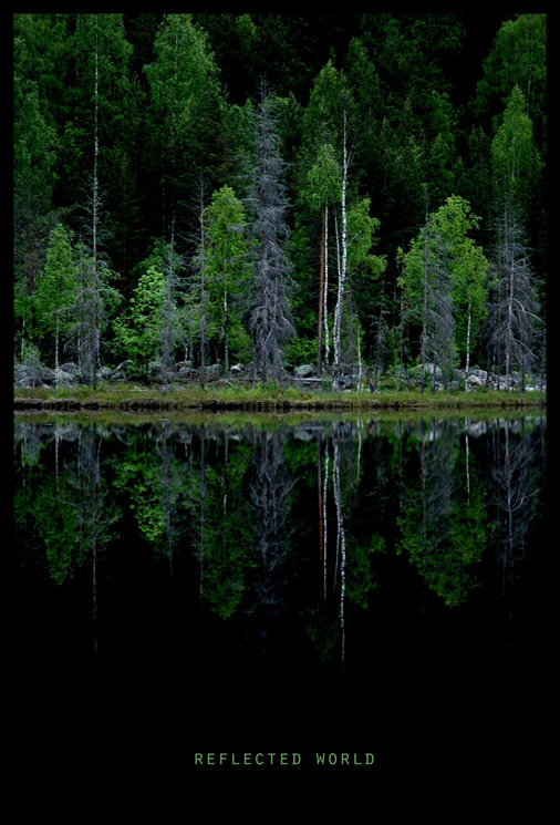 reflected world 
